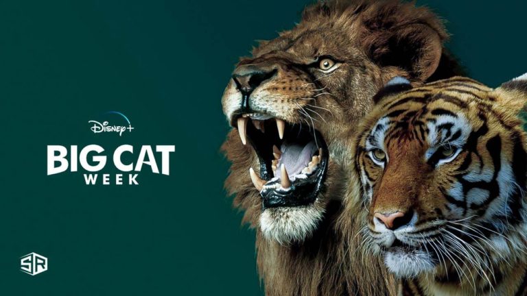 How to Watch ‘Big Cat Week’ on Disney Plus from Anywhere