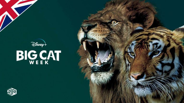 How to Watch ‘Big Cat Week’ on Disney Plus outside UK