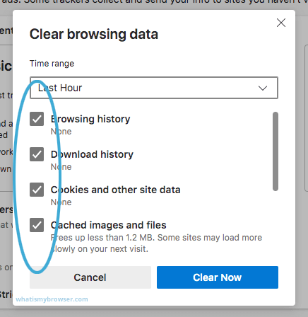 Clear Site Data in Microsoft Edge ca
