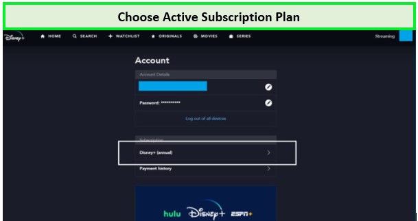 choose-active-subscription-plan-in-new-zealand