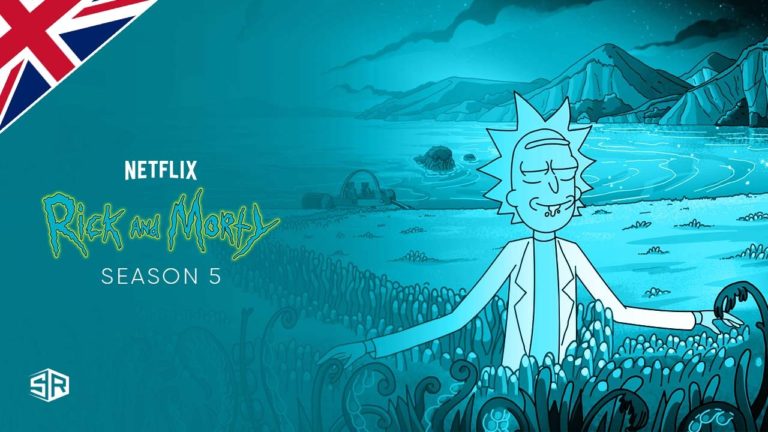 How to Watch Rick and Morty Season 5 on Netflix from Anywhere