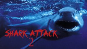 shark-attack-2