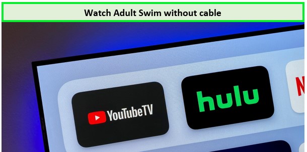 watch-adult-swim-without-cable in-Spain 