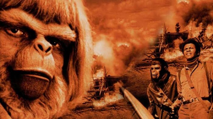 battle-for-the-planet-of-the-apes-new-zealand