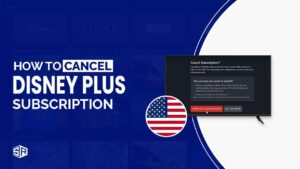 How To Cancel Disney Plus Subscription? (Easy Steps 2022)