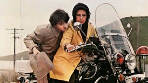 Harold-and-Maude-in-new-zealand