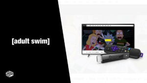 How To Watch Adult Swim On Roku in Netherlands [June 2023 Updated]