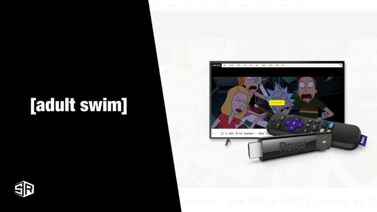How To Watch Adult Swim On Roku [October 2022 Updated]