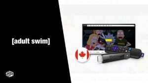 How To Watch Adult Swim On Roku in Canada [January 2023]