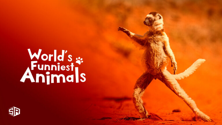 How to Watch World's Funniest Animals Season 3 in UK
