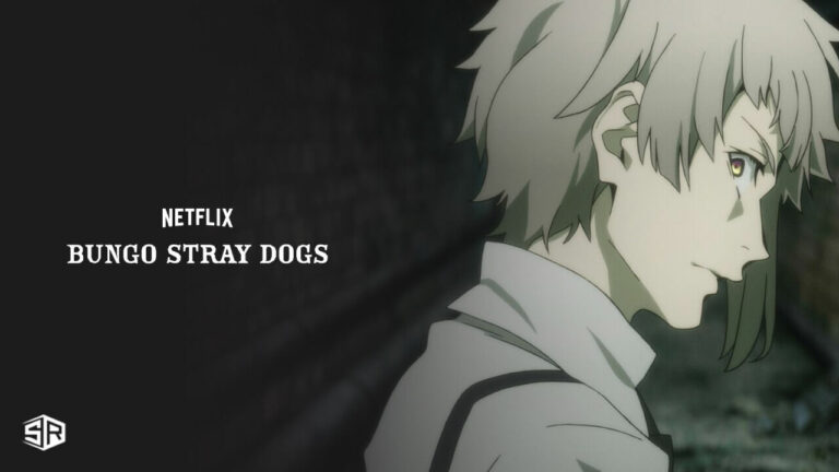 How To Watch Bungou Stray Dogs On Netflix in USA [Updated 2022]