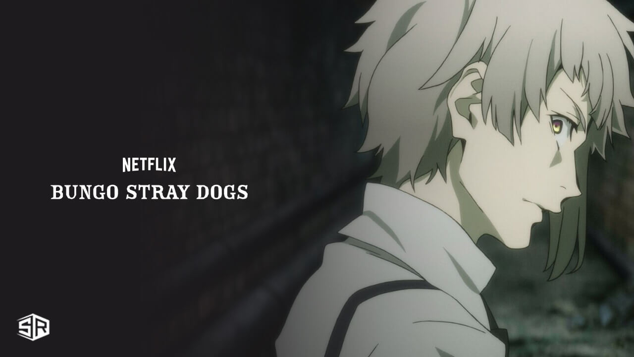 How To Watch Bungou Stray Dogs On Netflix in USA in 2022
