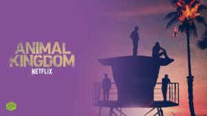 How to Watch Animal Kingdom Season 5 on Netflix in USA?