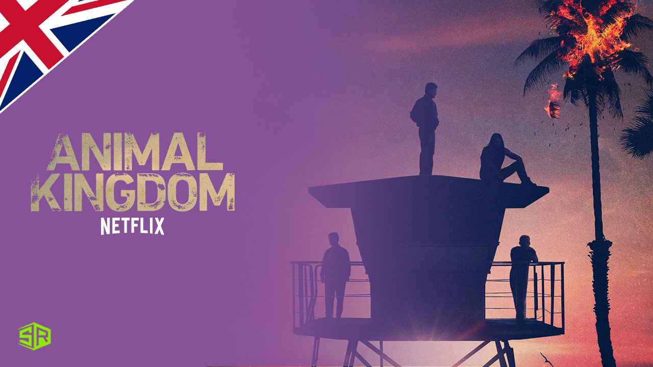 How to Watch Animal Kingdom Season 5 on Netflix in UK?