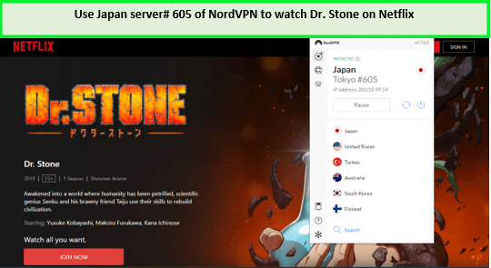 nordvpn-unblock-dr-stone-on-netflix-in-usa
