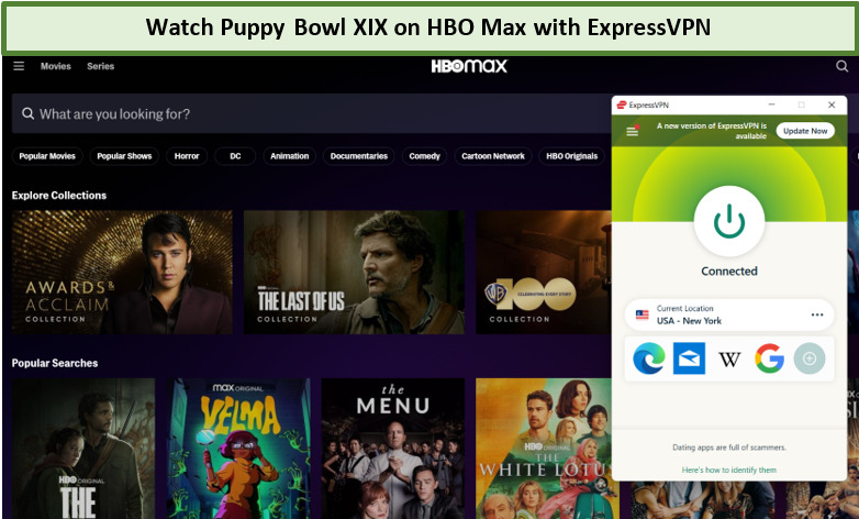 watch-puupyy-bowl-XIX-outside-us-with-expressvpn