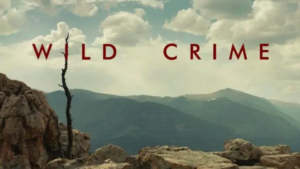 Watch Wild Crime Season 2 in USA on Disney Plus