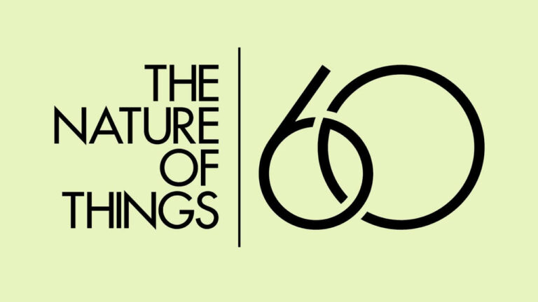 the nature of things
