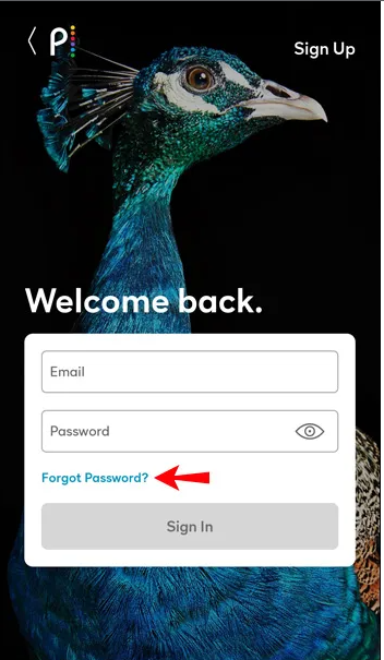 Select-forgot-password