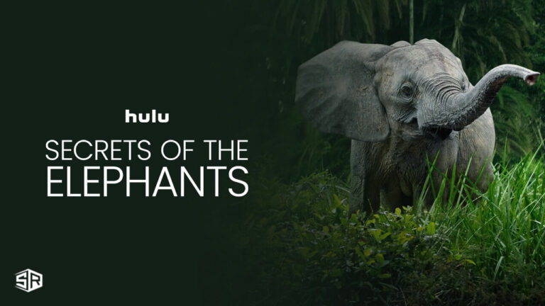 watch-Secrets-of-the-Elephants-in-singapore-on-Hulu