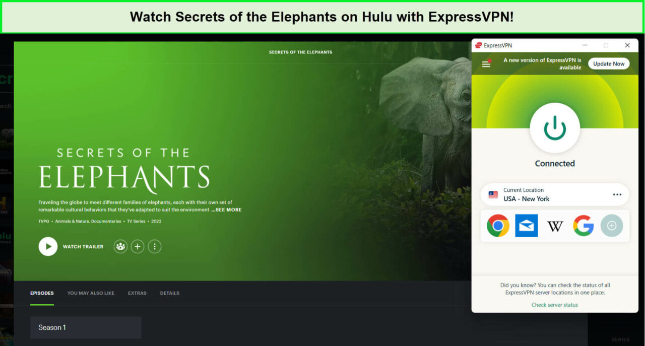 watch-Secrets-of-the-Elephants-on-Hulu-outside-USA