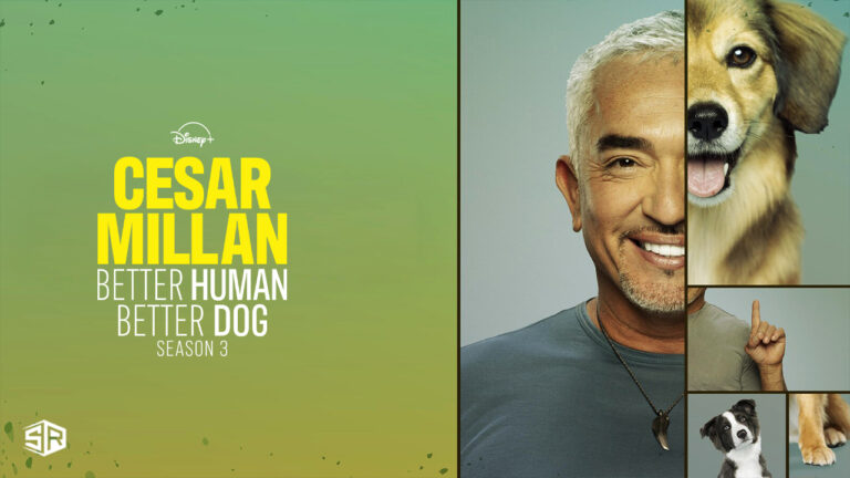 Watch Cesar Millan Better Human Better dog season 3 in New Zealand on Disney Plus