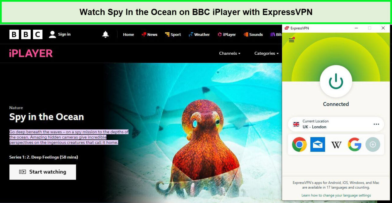 Watch-Spy-In-The-Ocean-On-BBC-iPlayer-with-expressVPN