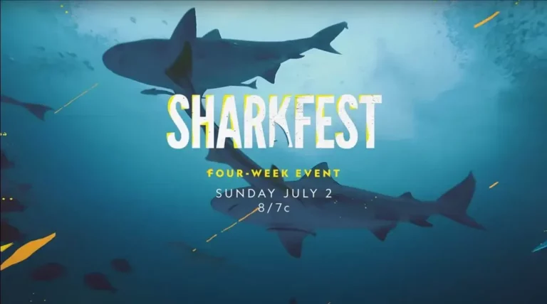 Watch Sharkfest Outside USA on Disney Plus