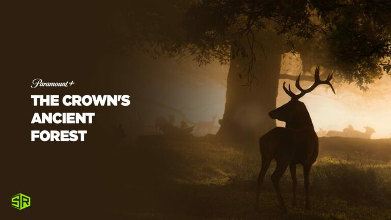 Watch-The-Crowns-Ancient-Forest-in-UK