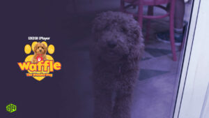 How to Watch Waffle the Wonder Dog in Hong Kong on BBC iPlayer