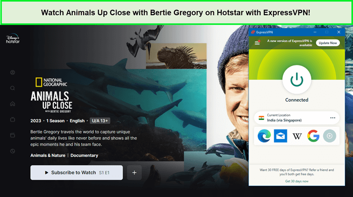 Watch-Animals-Up-Close-with-Bertie-Gregory-on-Hotstar-with-ExpressVPN-in-USA
