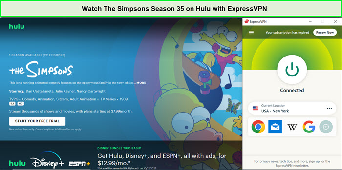 Watch-The-Simpsons-Season-35-in-Italy-on-Hulu-with-ExpressVPN