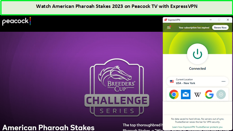 Watch-American-Pharoah-Stakes-2023-outside-USA-on-Peacock TV-with-ExpressVPN