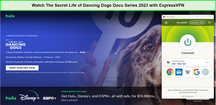 watch-the-secret-life-of-dancing-dogs-docu-series-2023-with-expressvpn-in-Italy