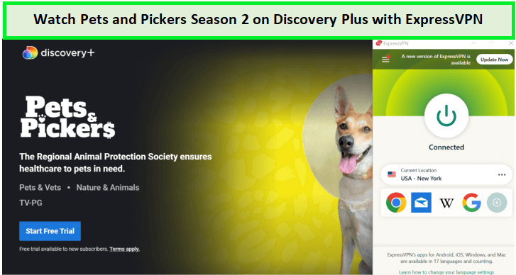 Watch-Pets-and-Pickers-Season-2-in-South Korea-on-Discovery-Plus