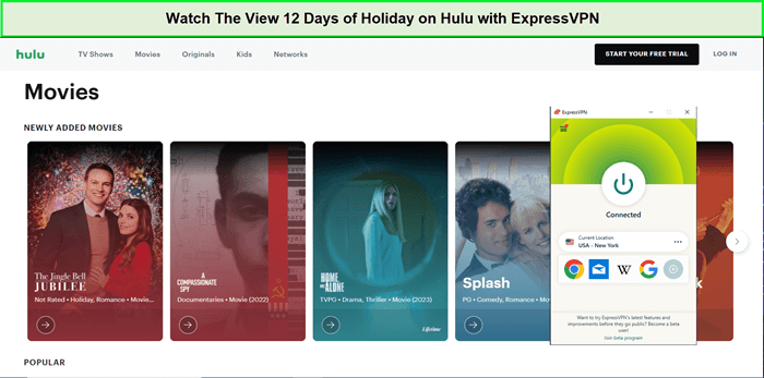 Watch-The-View-12-Days-of-Holiday-in-Japan-on-Hulu-with-ExpressVPN