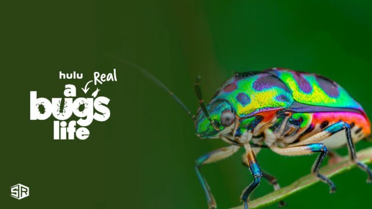 watch-a-real-bugs-life-outside-USA-on-hulu
