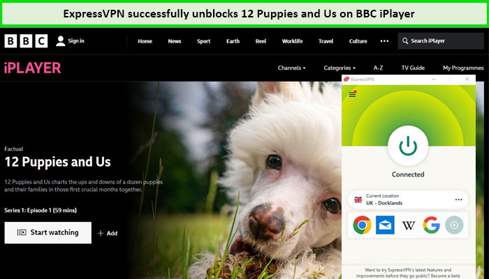Express-VPN-Unblocks-12-Puppies-and-Us-outside-UK-on-BBC-iPlayer