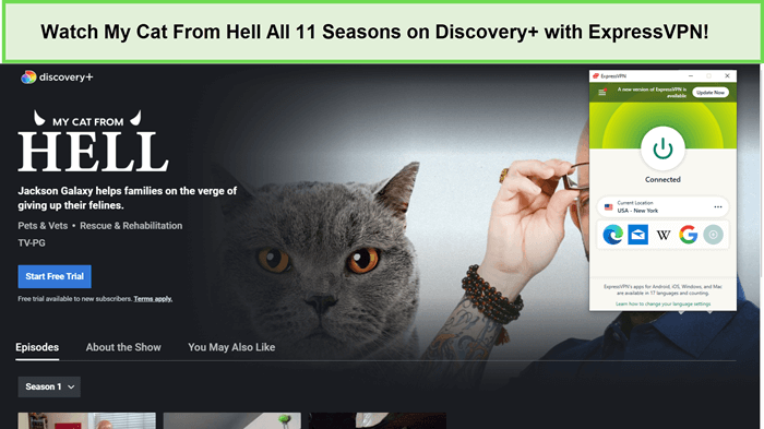 Watch-My-Cat-From-Hell-All-11-Seasons-in-Australia-on-Discovery-with-ExpressVPN