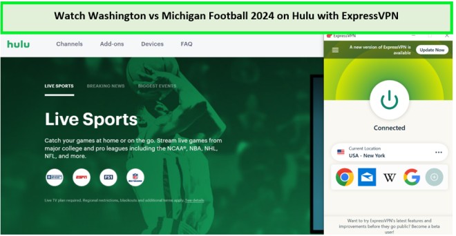 Watch Washington vs Michigan Football 2024 outside USA on Hulu