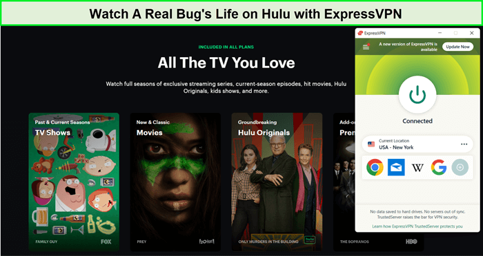 watch-a-real-bugs-life-on-hulu-in-Canada-with-expressvpn