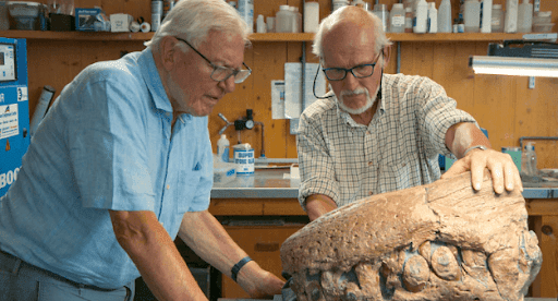 Attenborough-and-the-Giant-Sea-Monster-2024-on-bbc-ipalyer-in-Australia