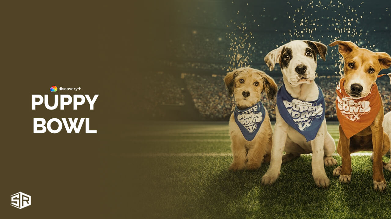 Watch Puppy Bowl 2024 in Hong Kong on Discovery Plus