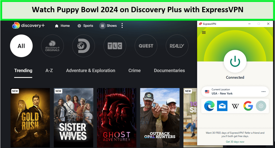 Watch-Puppy-Bowl-2024-in-Canada-on-Discovery-Plus-with-ExpressVPN 