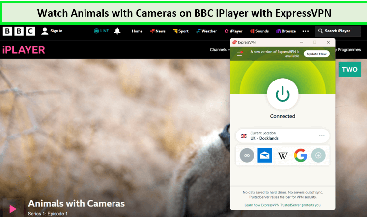 expressvpn-unblocked-animals-with-cameras-on-bbc-iplayer--