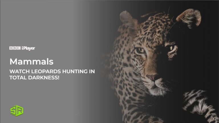Attenborough-Series-Achieves-Worlds-First-Footage-of-Leopards-Hunting-in-Total-Darkness